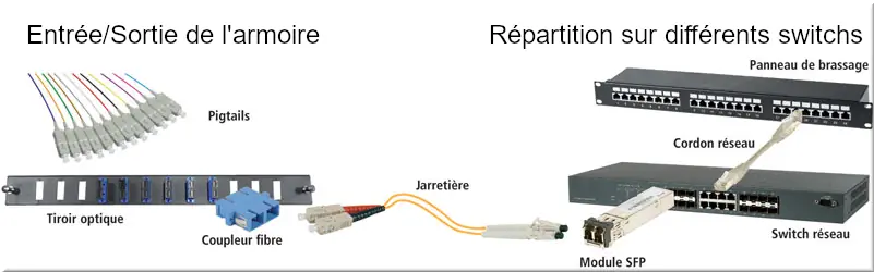 Éléments d’une fibre